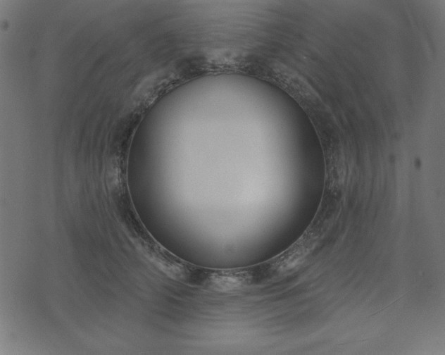 X0000073870706200608171007