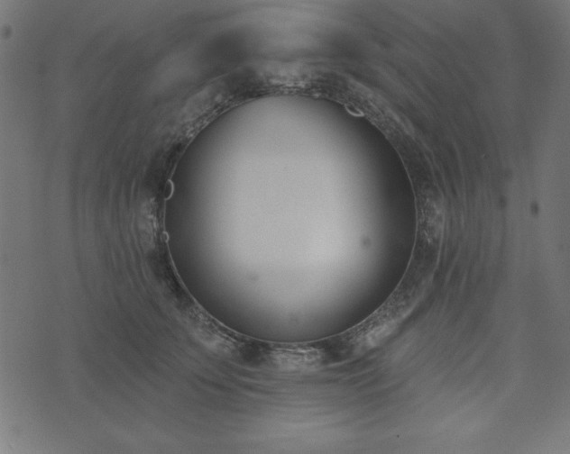 X0000073870707200608171007