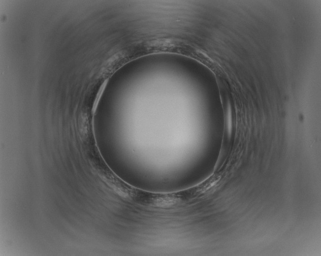 X0000073870708200608171007