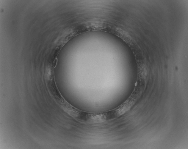 X0000073870709200608171007