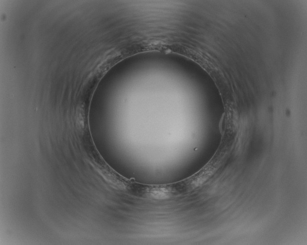 X0000073870710200608171007