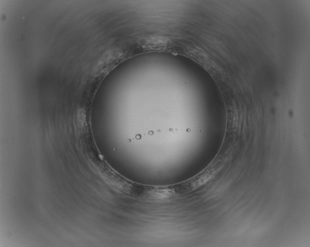 X0000073870711200608171007