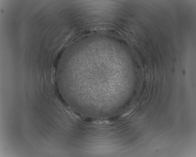 X0000073870712200608171007