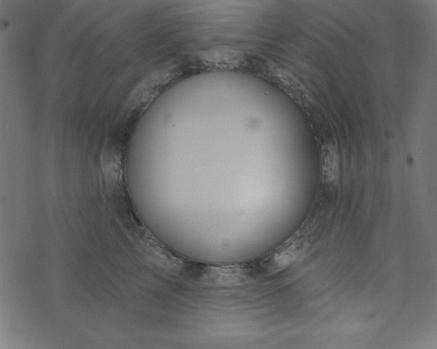 X0000073870713200608171007