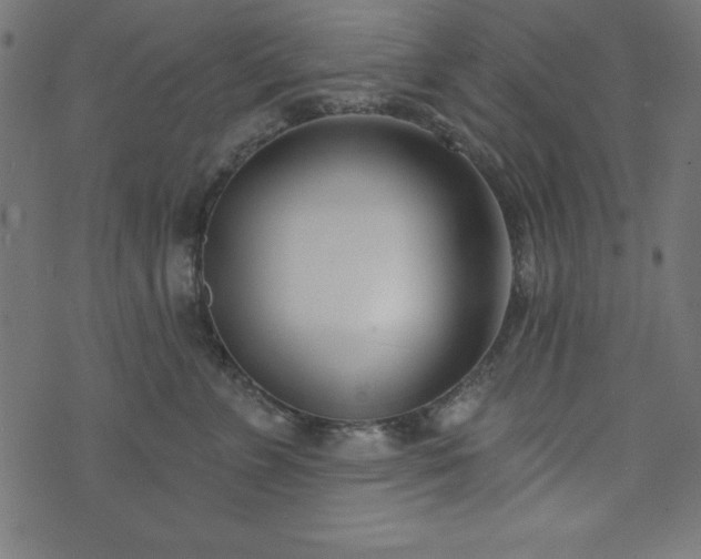 X0000073870715200608171007