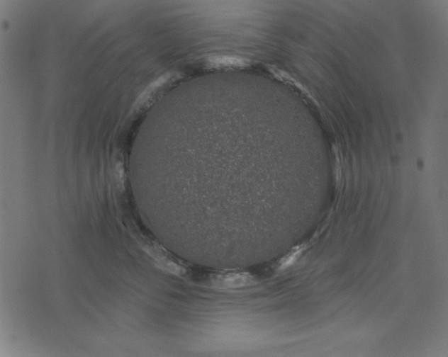 X0000073870716200608171007