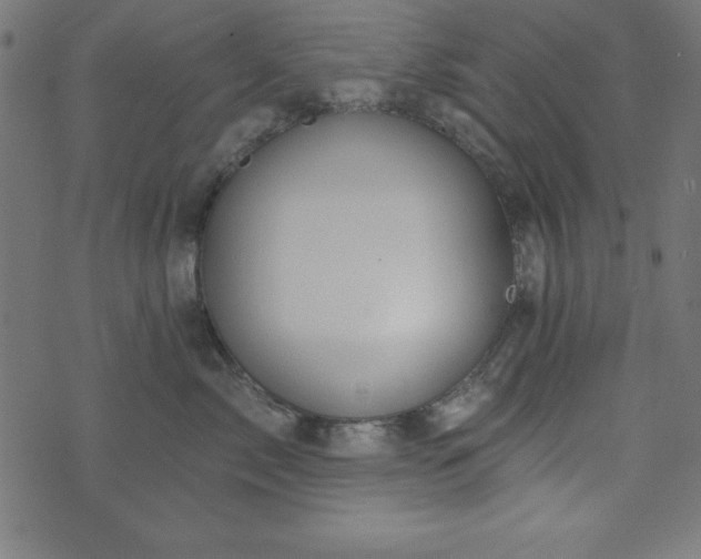 X0000073870717200608171007