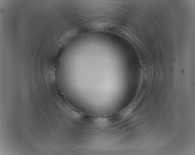 X0000073870718200608171007