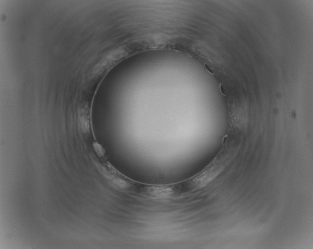 X0000073870719200608171007