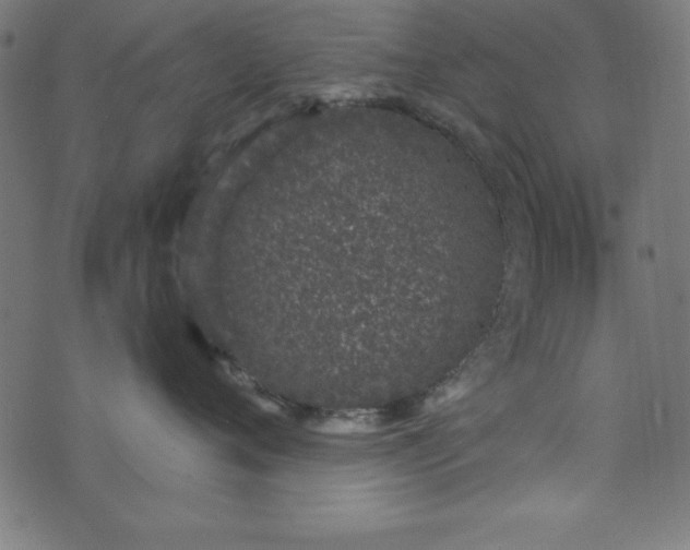 X0000073870720200608171007