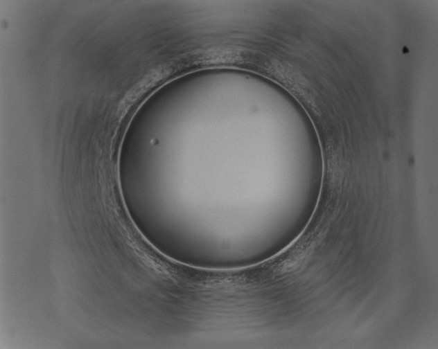 X0000073870721200608171006