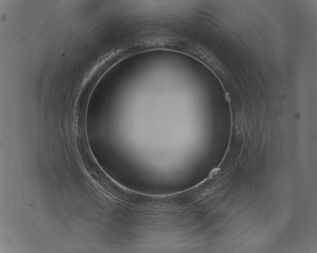 X0000073870722200608171006