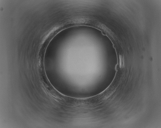 X0000073870723200608171006