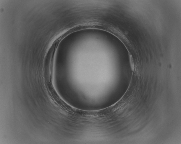 X0000073870724200608171006