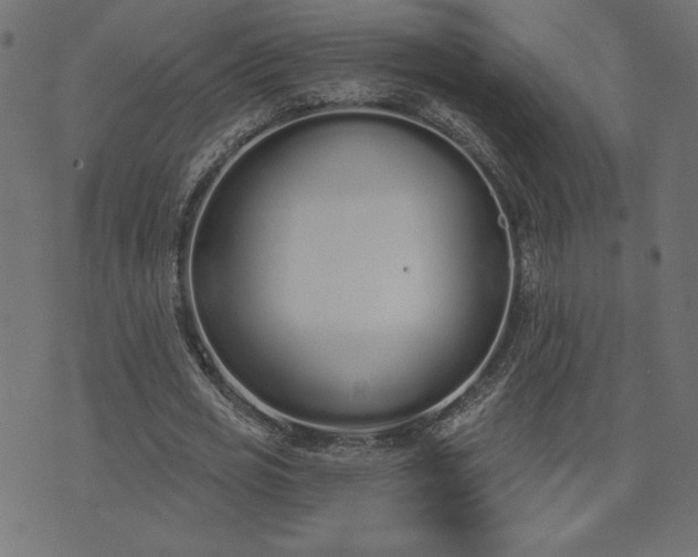 X0000073870725200608171006