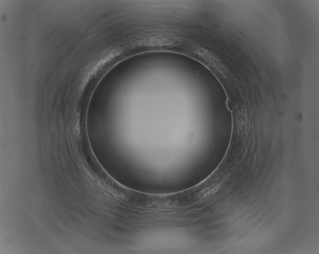 X0000073870727200608171007