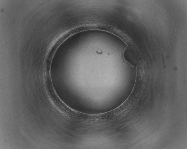 X0000073870728200608171007