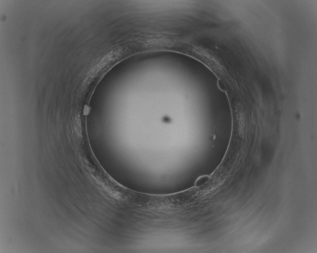 X0000073870729200608171007