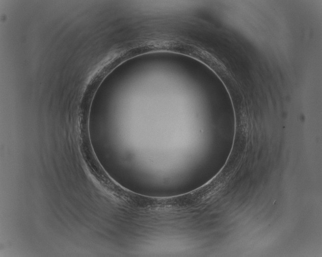 X0000073870730200608171007