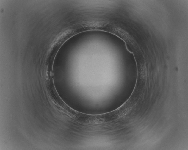 X0000073870731200608171007