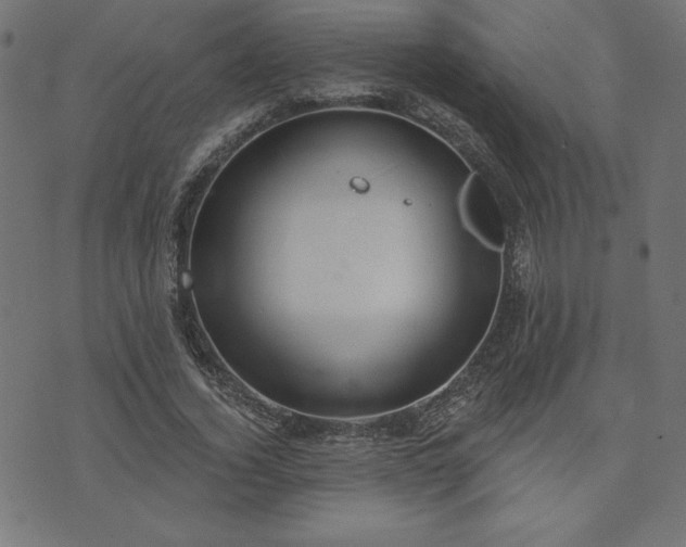 X0000073870732200608171007