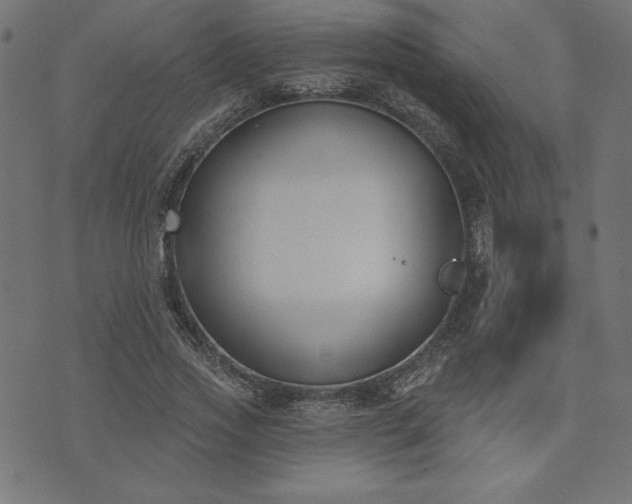 X0000073870733200608171007