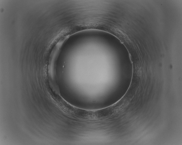 X0000073870735200608171007