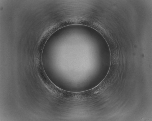 X0000073870736200608171007