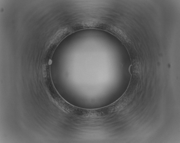 X0000073870738200608171007