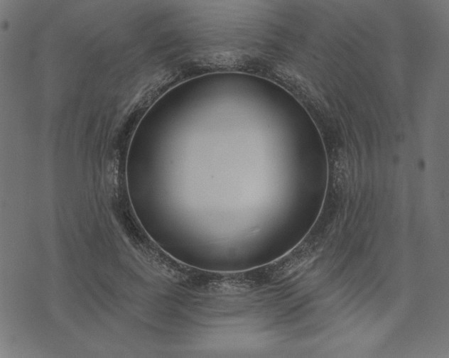 X0000073870739200608171007