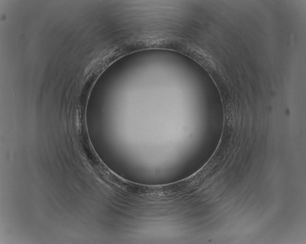 X0000073870740200608171007