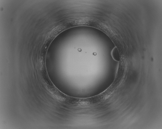 X0000073870741200608171007