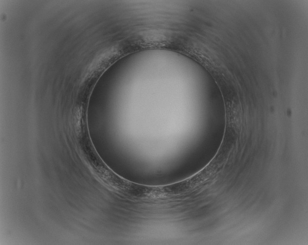 X0000073870742200608171007