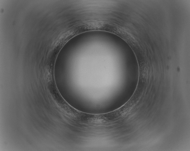 X0000073870743200608171007