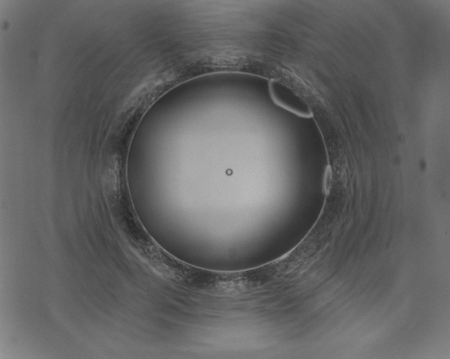 X0000073870744200608171007