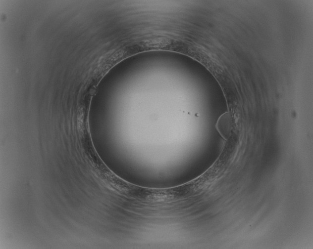 X0000073870745200608171007