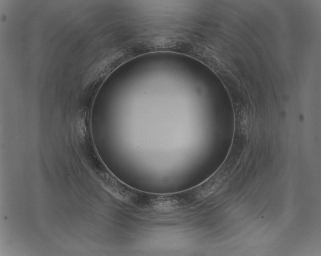 X0000073870746200608171007