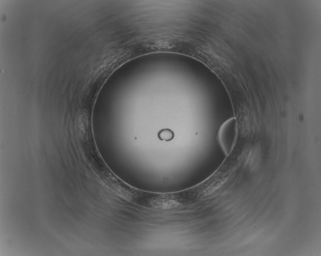 X0000073870747200608171007