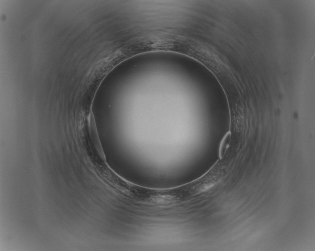 X0000073870748200608171007