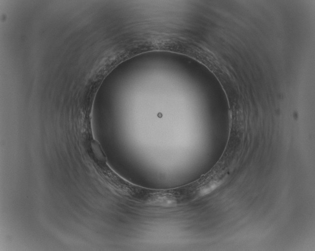 X0000073870750200608171007