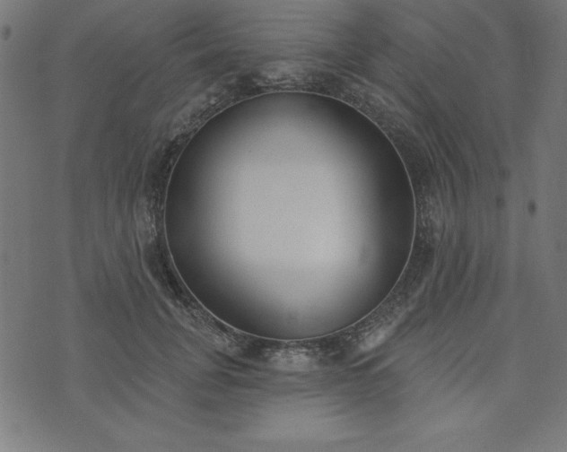 X0000073870751200608171007