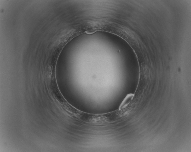 X0000073870752200608171007