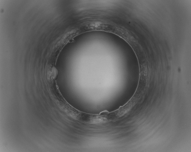 X0000073870754200608171007