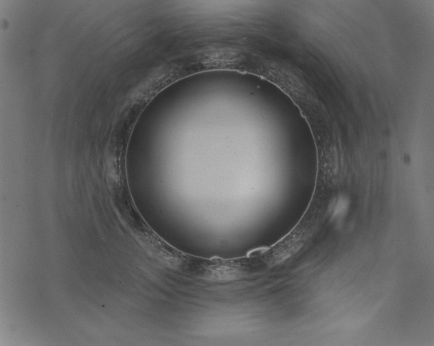 X0000073870755200608171007