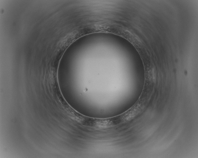 X0000073870757200608171007