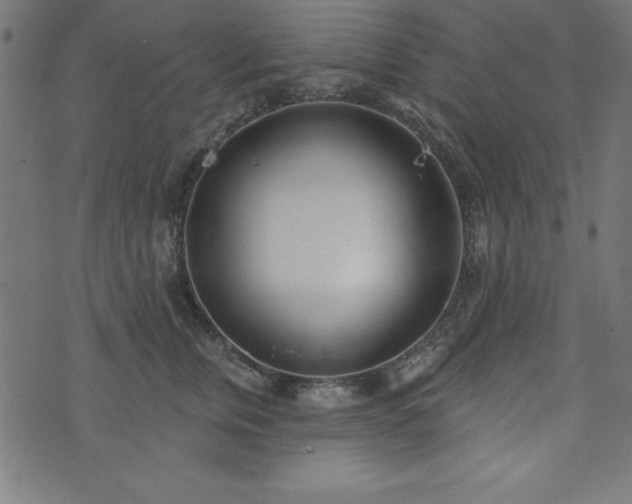 X0000073870759200608171007