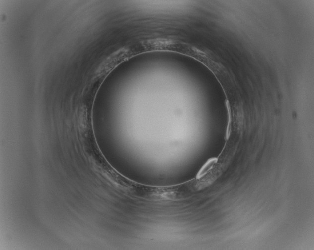 X0000073870760200608171007