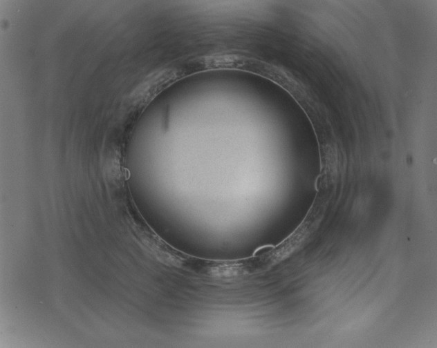 X0000073870761200608171007