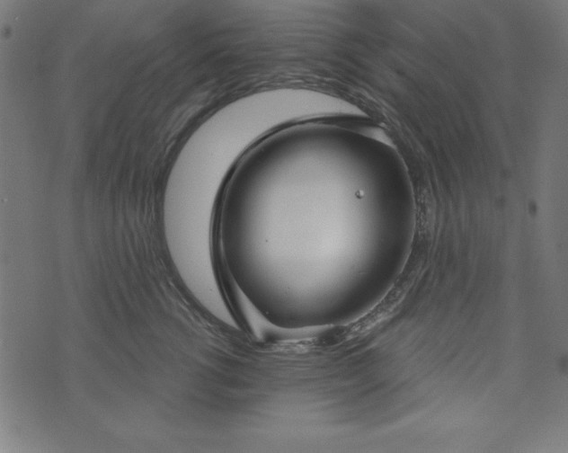 X0000073870762200608171007