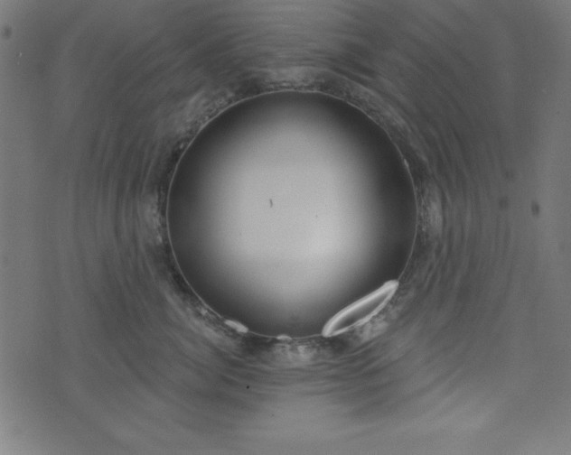 X0000073870764200608171007